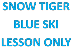 Picture of Snow Tiger Blue Ski Lesson Only