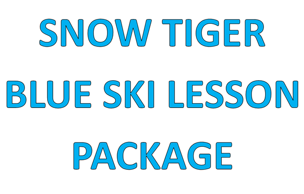 Picture of Snow Tiger Blue Ski Lesson Package