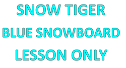 Picture of Snow Tiger Blue SnowBoard Lesson Only