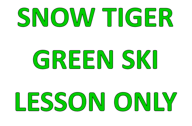 Picture of Snow Tiger Green Ski Lesson Only