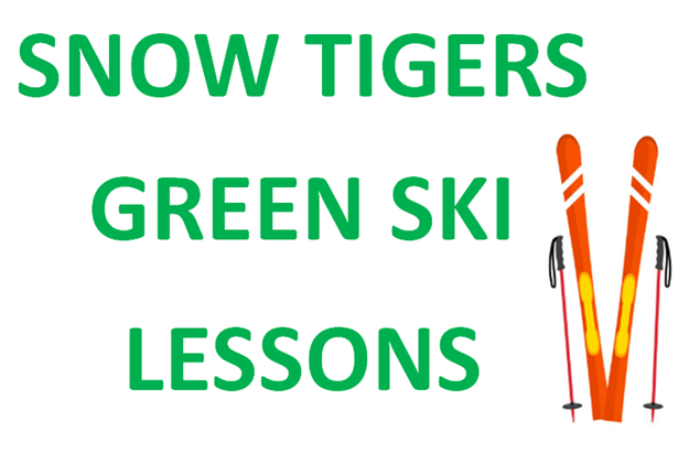 Picture of Snow Tigers Green SKI Lessons